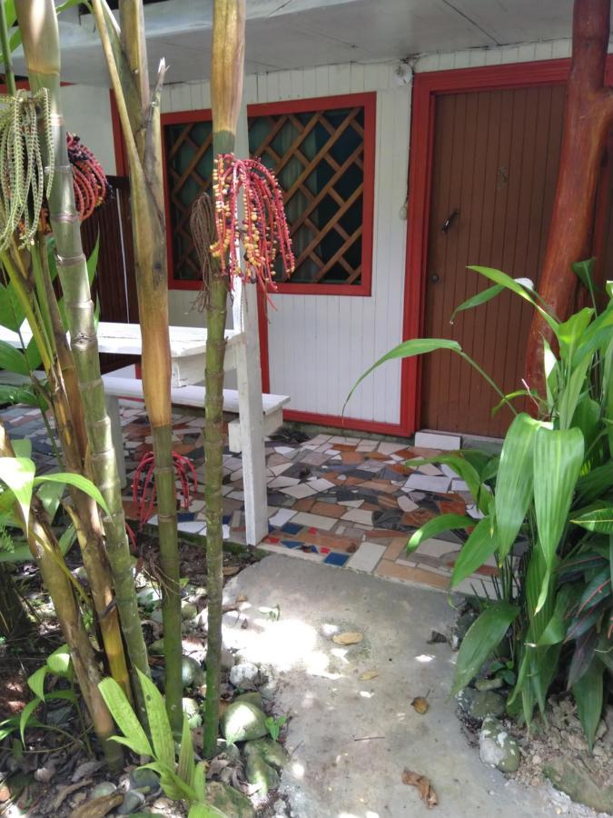 Hotel Cabinas Talamanca Sa Puerto Viejo de Talamanca Zewnętrze zdjęcie