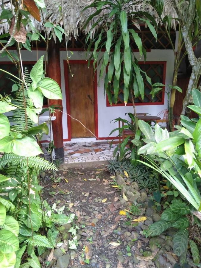 Hotel Cabinas Talamanca Sa Puerto Viejo de Talamanca Zewnętrze zdjęcie