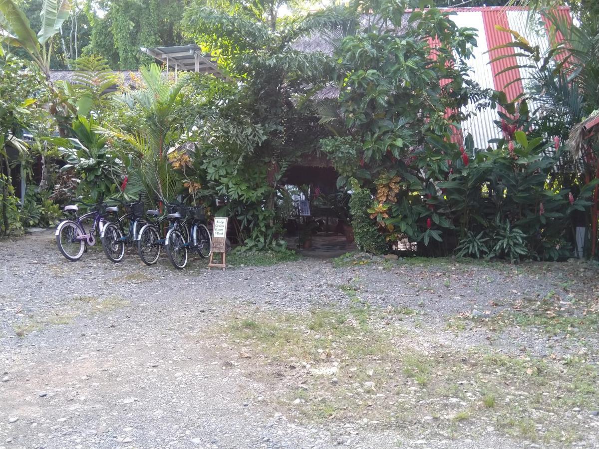 Hotel Cabinas Talamanca Sa Puerto Viejo de Talamanca Zewnętrze zdjęcie