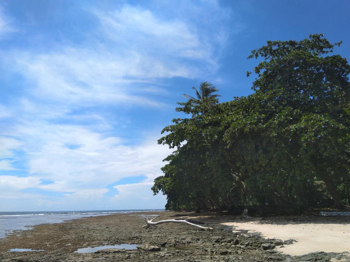 Hotel Cabinas Talamanca Sa Puerto Viejo de Talamanca Zewnętrze zdjęcie
